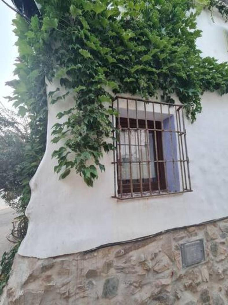 Willa Casa La Yedra By Casaturistica Benarrabá Zewnętrze zdjęcie